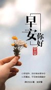 早安励志文案|早安，每一天都是一个新的起点