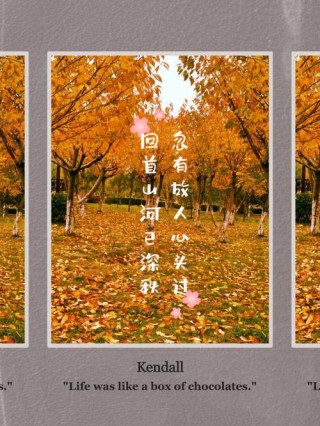 悟语