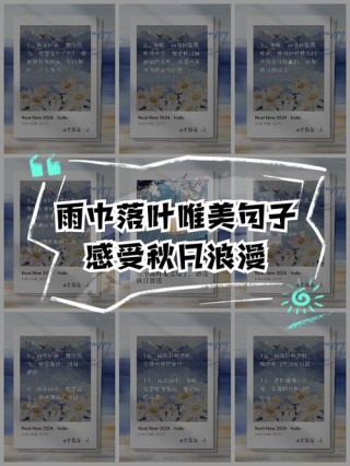 叶子20句经典人生感悟语句摘录（17）