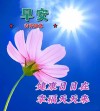 精选早安暖心祝福语创意唯美图片带字，微信早上好给亲友问候语录