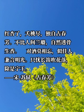 原创现代诗《五月-心香》熏染一花蝶梦卧醉夜的枝头