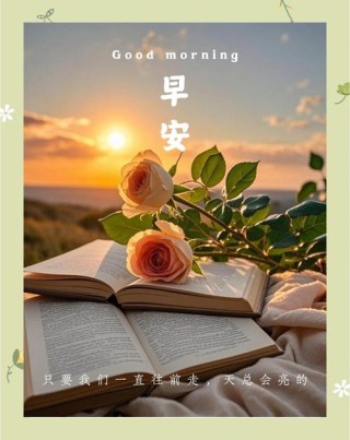 早安心语~珍惜当下，期待明天，超越自己，美好在前