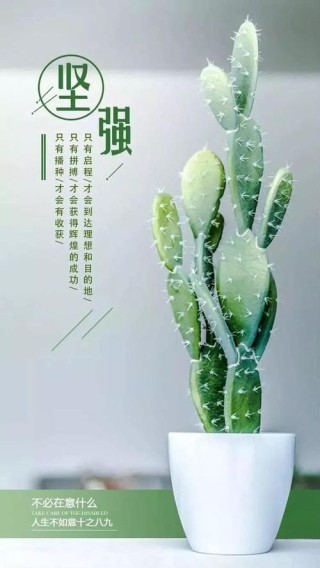 发朋友圈唯美阳光的句子，意义深远，正能量满满