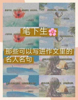 小众名言，让你的作文悄悄惊艳所有人
