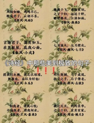 《诗经》10条唯美名句，简短温馨，沁人心脾！