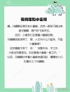 《蝴蝶与蜜蜂》散文诗