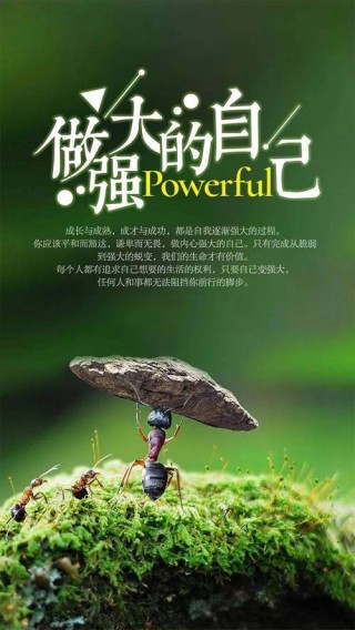 给人鼓励的正能量心情说说 一句话经典语录图片
