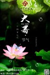 现了马脚无人关注 （打一节气名）