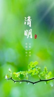 清明节文案祝福语，追思亲人的诗句，缅怀先烈感言寄语，发朋友圈