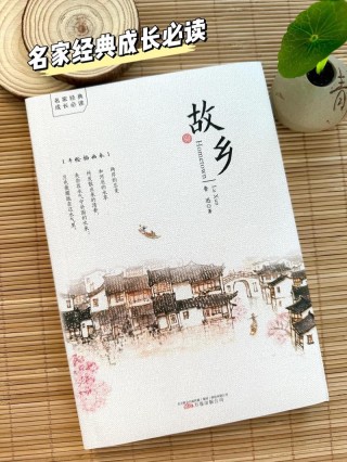 少年的故乡