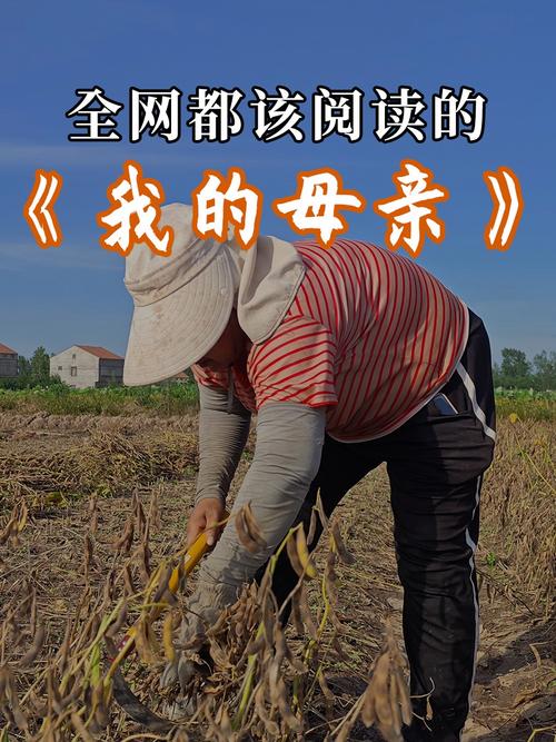 我的农民母亲 第1张 我的农民母亲 第1张