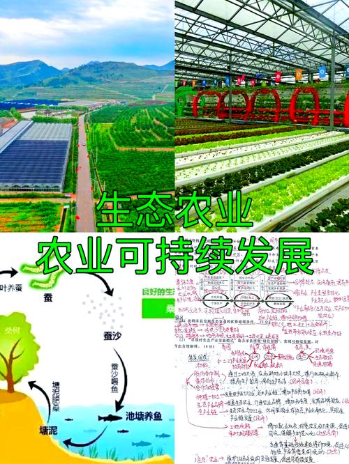 广东连州创新土地流转模式 推进农业规模经营 第1张 广东连州创新土地流转模式 推进农业规模经营 第1张