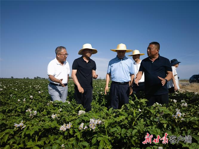 宁夏隆德李积良:带村民种植中药材致富 第1张 宁夏隆德李积良:带村民种植中药材致富 第1张