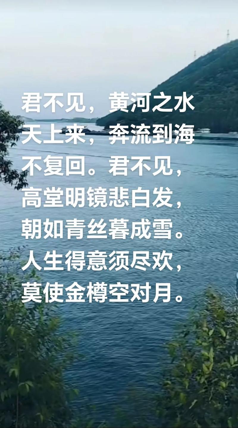 向东流的唯美句子（古诗向东流）  第1张