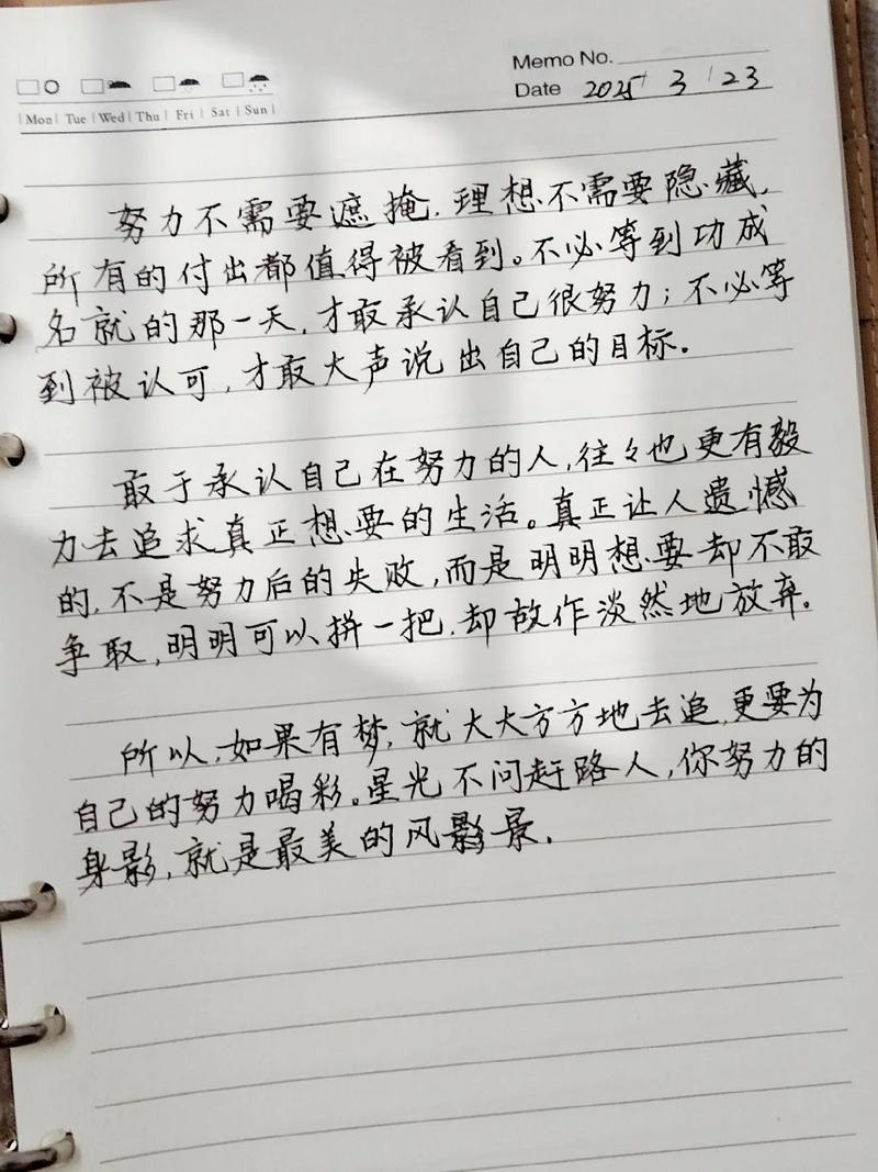 励志文章：努力始终是实力的保证_励志文章  第1张