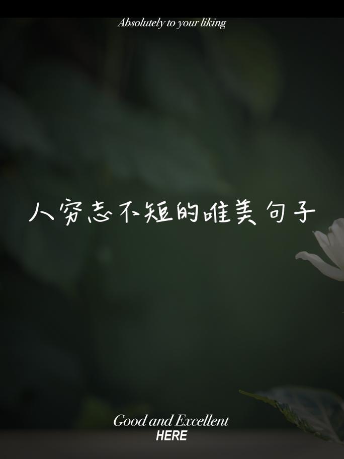 唯美短句子伤感意境(特别伤感唯美的短句图片) 第1张 唯美短句子伤感意境(特别伤感唯美的短句图片) 第1张