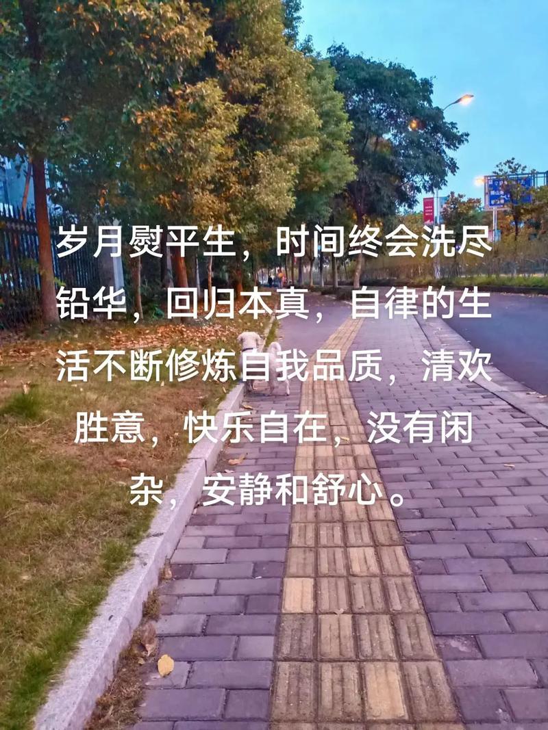 回归生活本真经典语录（形容回归生活本真的语句成语）  第1张