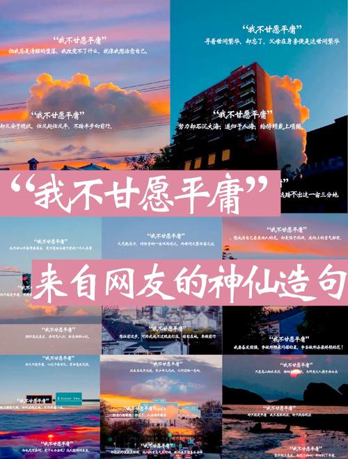 平庸的人之所以平庸 第1张 平庸的人之所以平庸 第1张