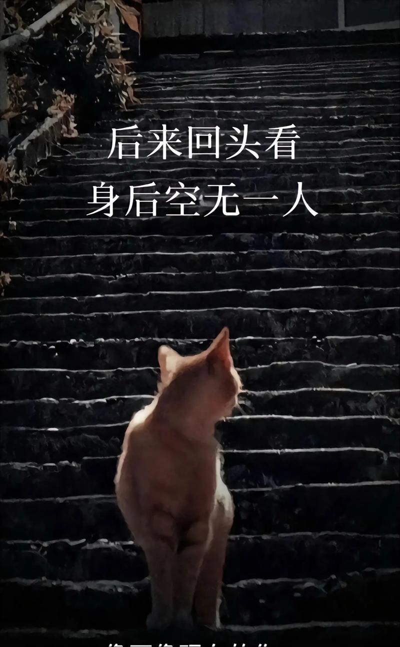 没有人天生坚强,只不过是一次次硬扛 第1张 没有人天生坚强,只不过是一次次硬扛 第1张