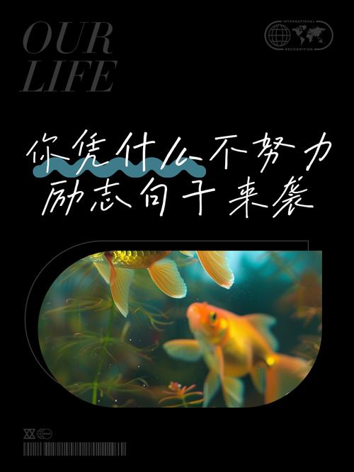 不努力，你什么都不是  第1张