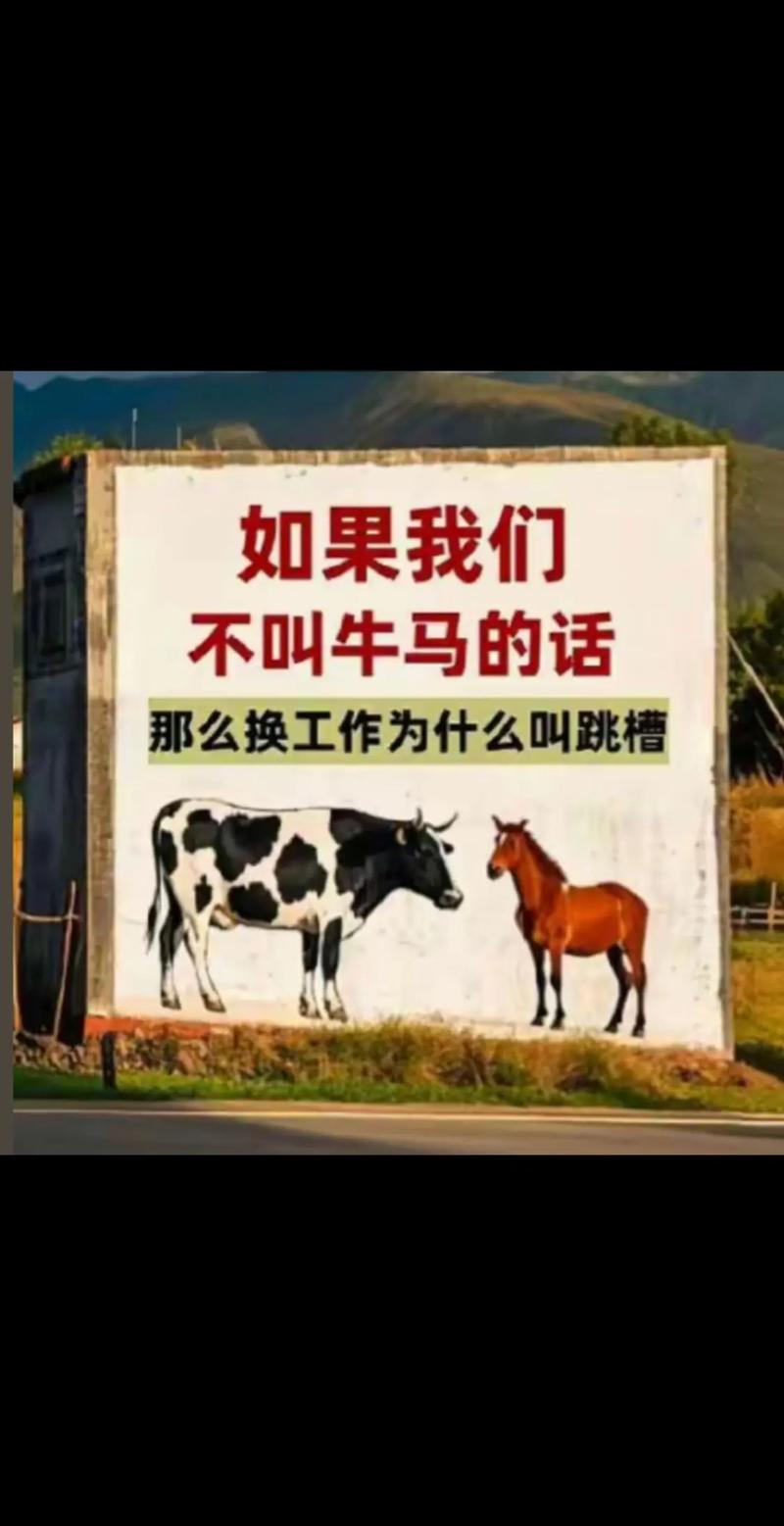 频繁跳槽的人是没有归属感的 第1张 频繁跳槽的人是没有归属感的 第1张
