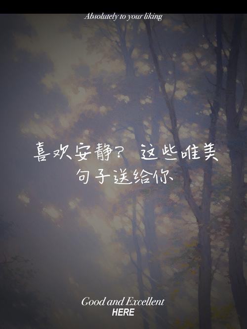 安静下来的唯美句子(安静的短句唯美) 第1张 安静下来的唯美句子(安静的短句唯美) 第1张