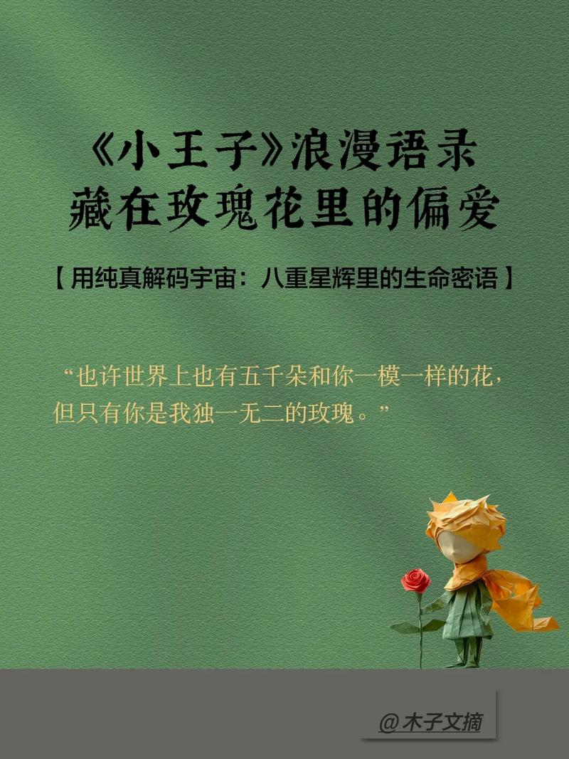 小王子里关于玫瑰的名言(小王子独一无二玫瑰语录) 第1张 小王子里关于玫瑰的名言(小王子独一无二玫瑰语录) 第1张