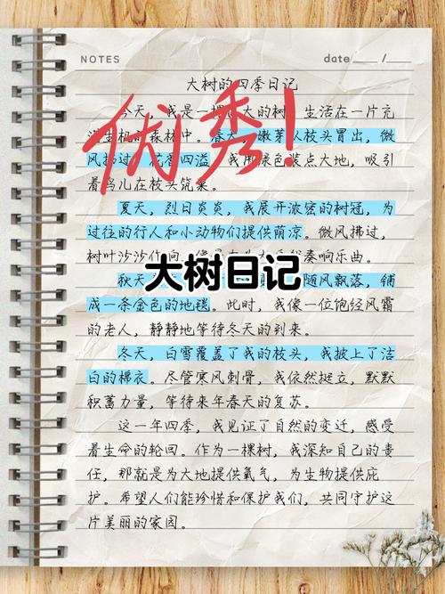 时光里的母亲树作文600字(时光里的母亲树作文500字) 第1张 时光里的母亲树作文600字(时光里的母亲树作文500字) 第1张