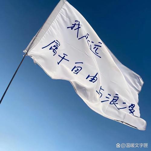 等你足够强大，再去找他攀交情  第1张