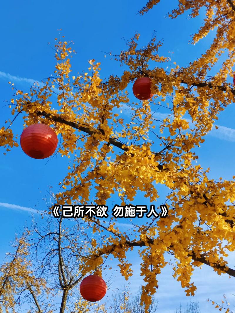 易中天经典语录十条  第1张