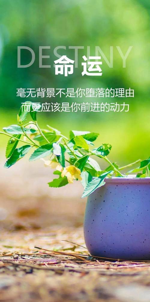 阳光正能量的励志句子，积极向上，句句精彩  第1张