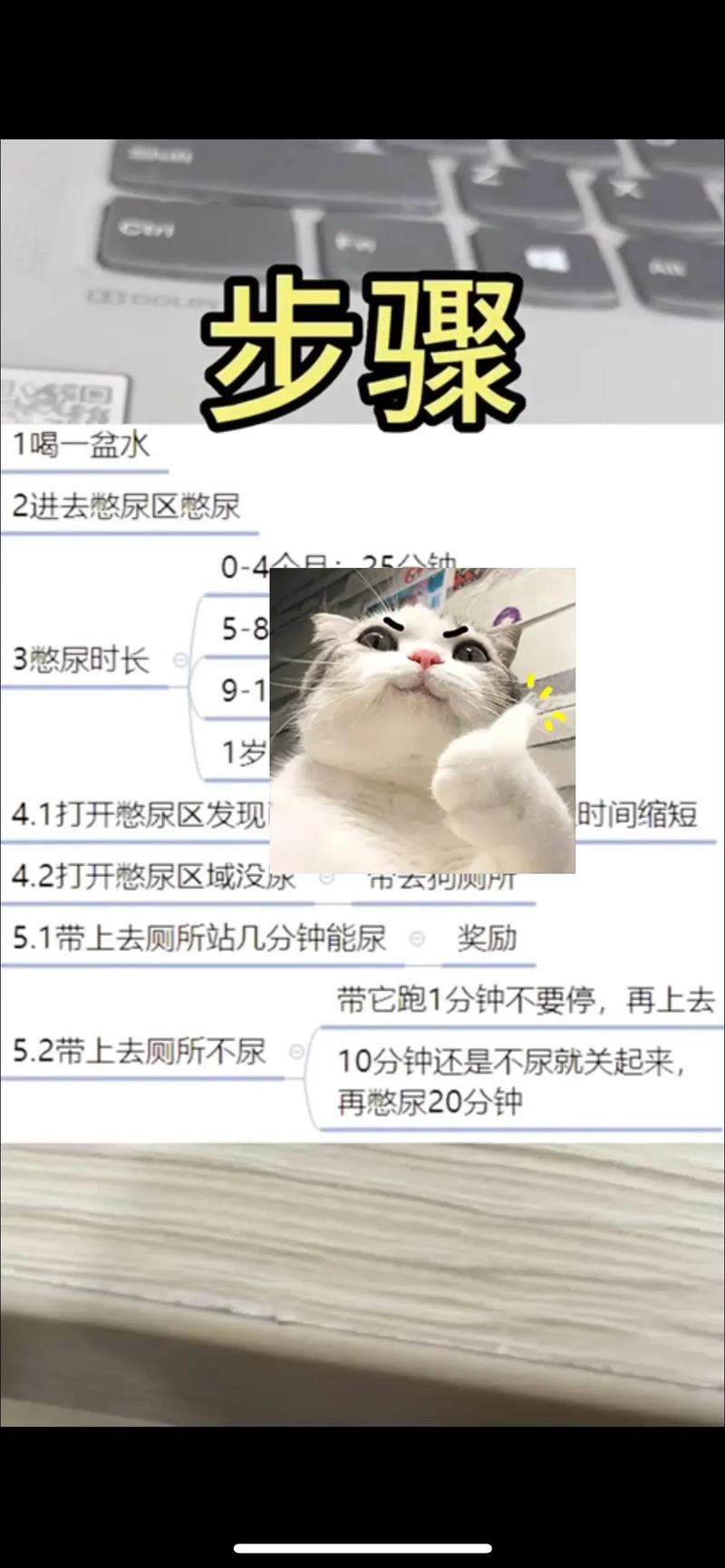 职场中如何获得“狗屎运”？  第1张