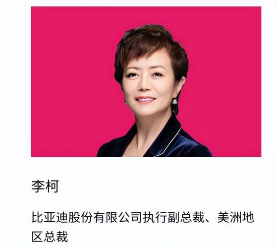 励志人物：王传福的第一桶金  第1张