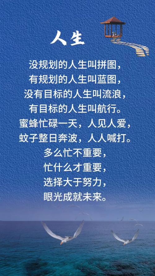 所有付出的努力,只为了人生选择的权利 第1张 所有付出的努力,只为了人生选择的权利 第1张