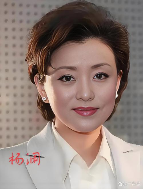 杨澜：我所经历的艰辛和失败  第1张