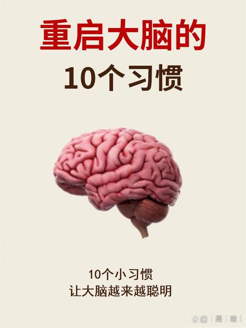 你可以完全信任自己的大脑吗? 第1张 你可以完全信任自己的大脑吗? 第1张