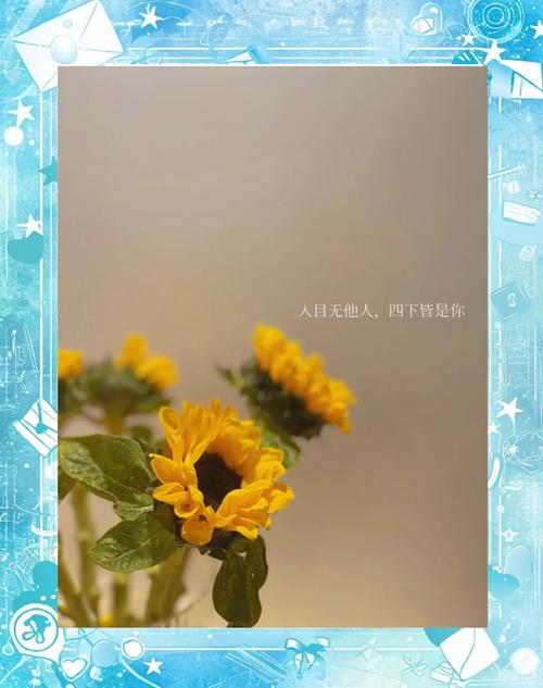愿生活像花儿一样的说说（生活像花儿一样幸福）  第1张