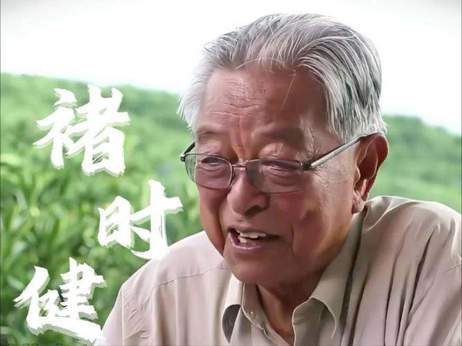 褚时健的逆袭  第1张