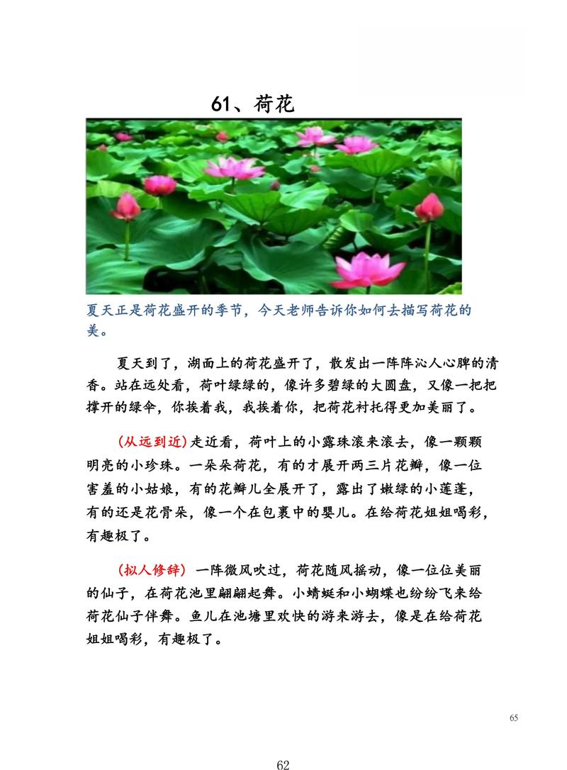 描写荷塘荷叶的短句(描写荷塘荷叶的短句有哪些呢) 第1张 描写荷塘荷叶的短句(描写荷塘荷叶的短句有哪些呢) 第1张