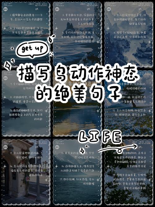 描写鸟的优美句子100句(描写鸟的句子佳句) 第1张 描写鸟的优美句子100句(描写鸟的句子佳句) 第1张