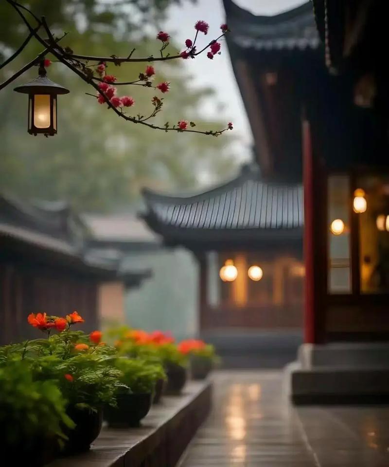 这个夜晚的心境 第1张 这个夜晚的心境 第1张