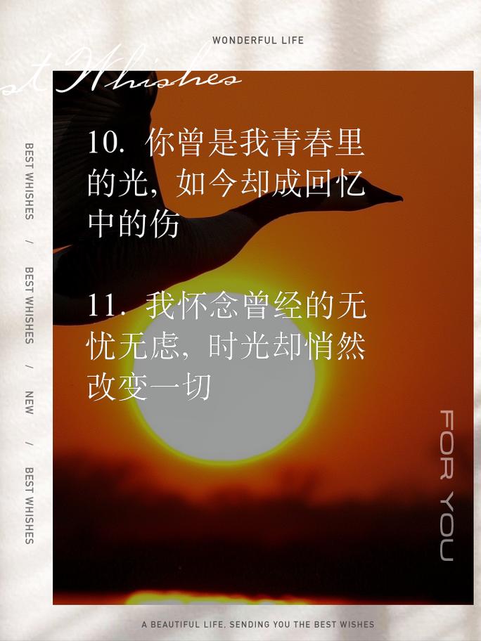 泪水中的回忆 第1张 泪水中的回忆 第1张