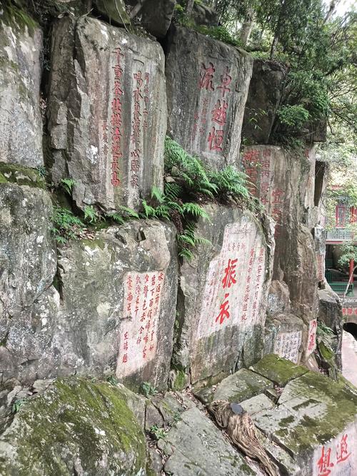源  第1张