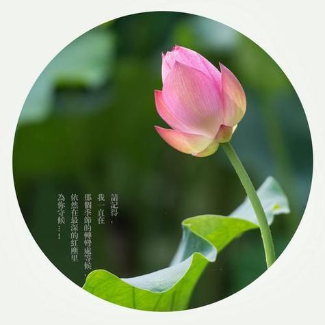 往事如烟,流年静好 第1张 往事如烟,流年静好 第1张