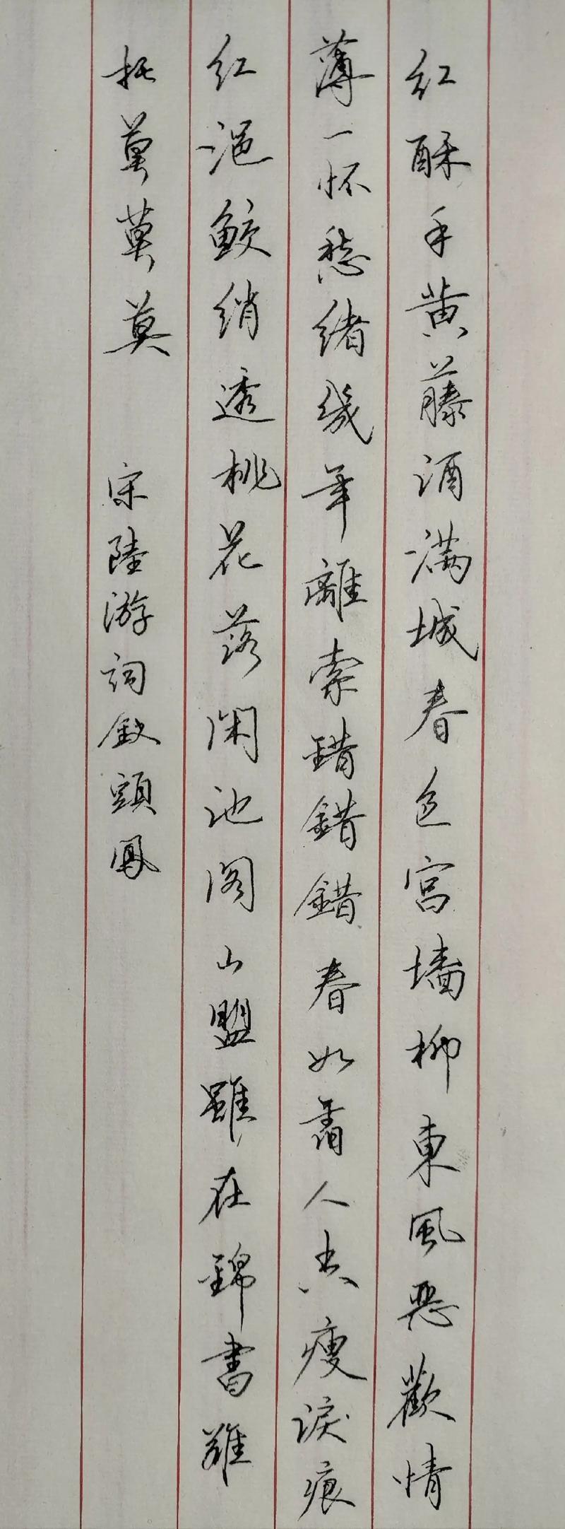 钗头凤•冬日述怀  第1张