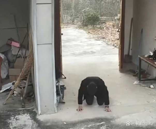 三叩首  第1张