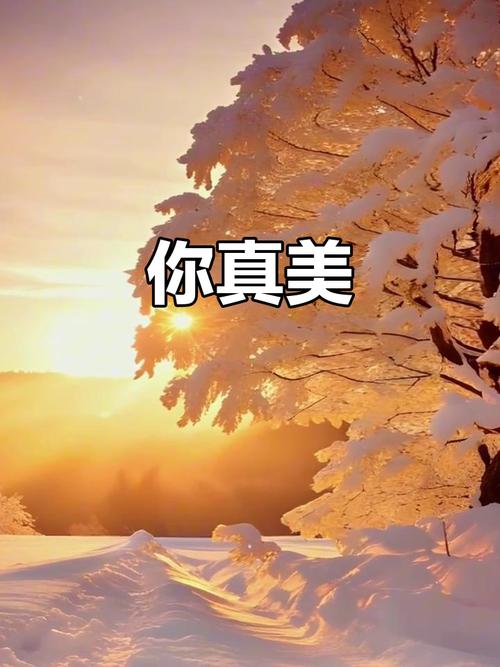 美丽邂逅 第1张 美丽邂逅 第1张