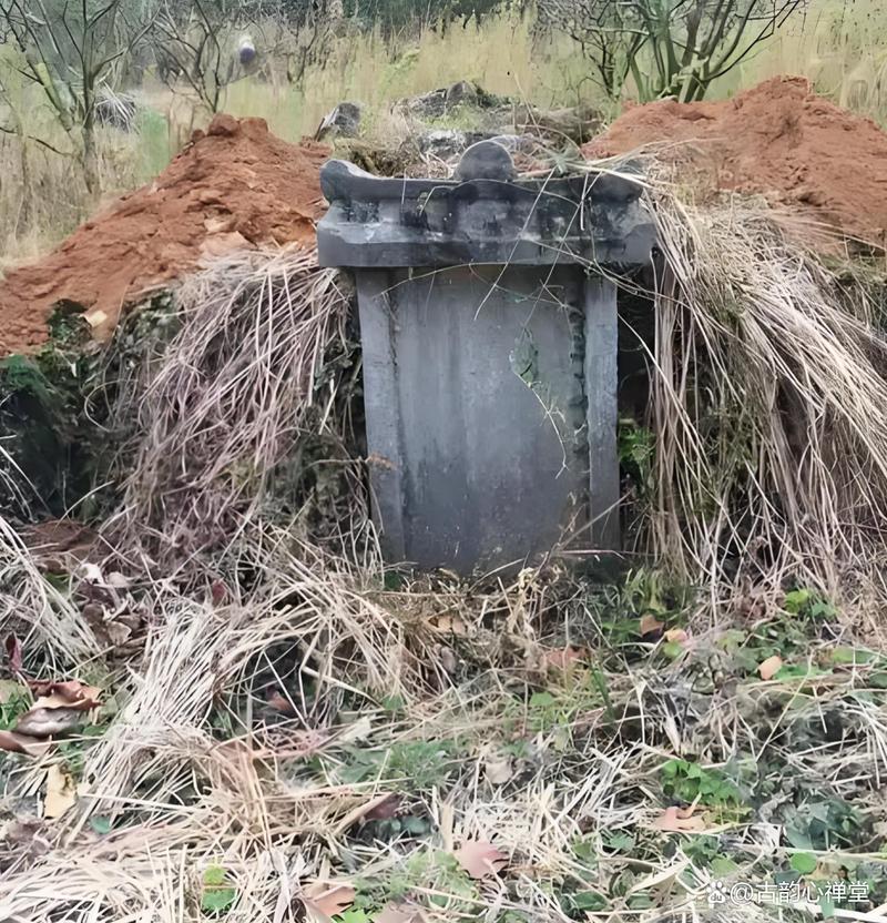 坟墓  第1张