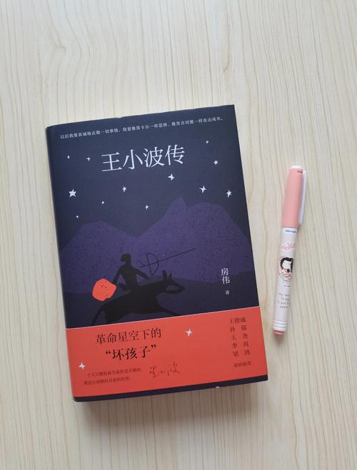 读王小波的怀疑 第1张 读王小波的怀疑 第1张
