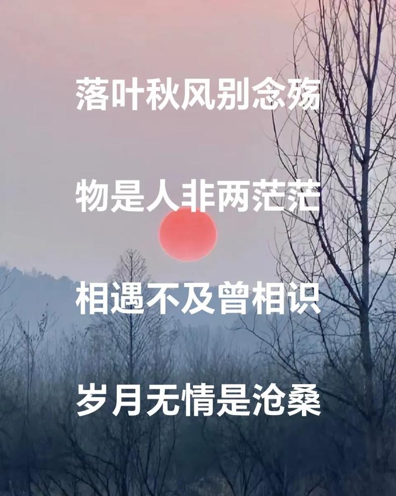 秋风浅吟纸上殇 第1张 秋风浅吟纸上殇 第1张